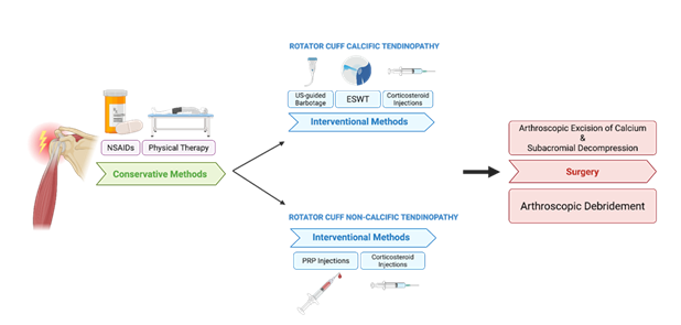 fortune-biomass-feedstock