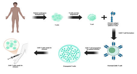 fortune-biomass-feedstock