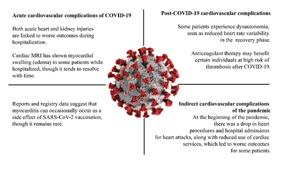 fortune-biomass-feedstock