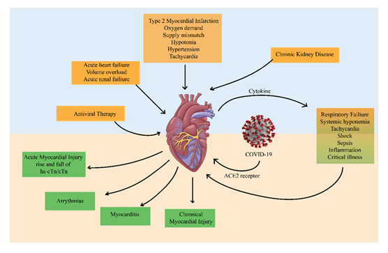fortune-biomass-feedstock