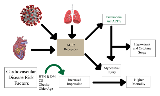 fortune-biomass-feedstock