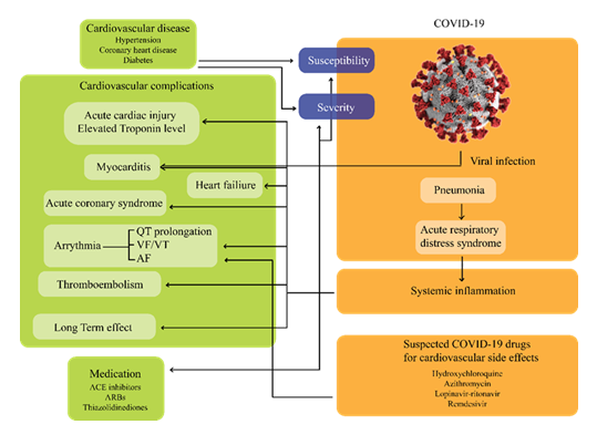 fortune-biomass-feedstock