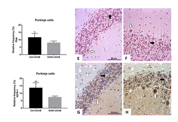 fortune-biomass-feedstock