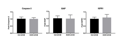 fortune-biomass-feedstock
