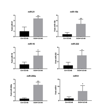 fortune-biomass-feedstock