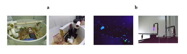 fortune-biomass-feedstock