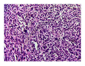 fortune-biomass-feedstock fortune-biomass-feedstock