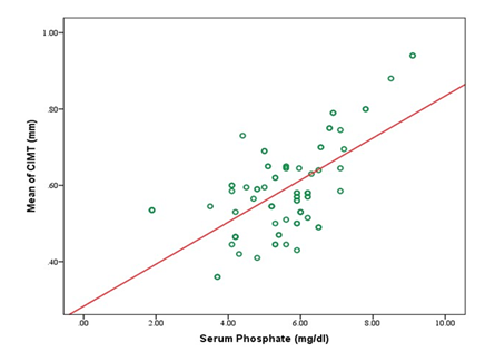fortune-biomass-feedstock