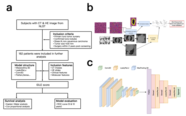 fortune-biomass-feedstock