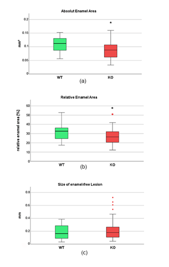 fortune-biomass-feedstock