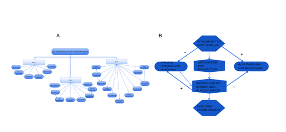 fortune-biomass-feedstock fortune-biomass-feedstock