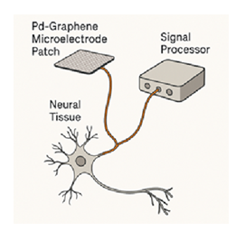 fortune-biomass-feedstock fortune-biomass-feedstock