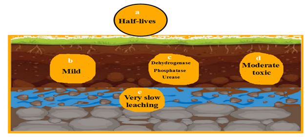 fortune-biomass-feedstock