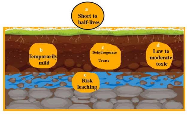 fortune-biomass-feedstock