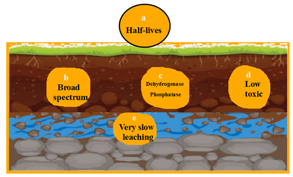 fortune-biomass-feedstock