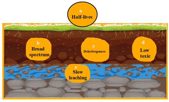 fortune-biomass-feedstock