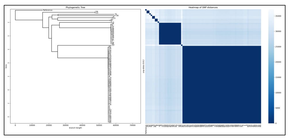 fortune-biomass-feedstock