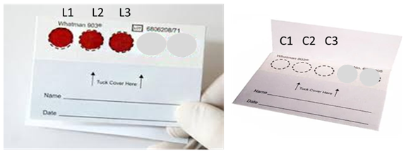 fortune-biomass-feedstock fortune-biomass-feedstock