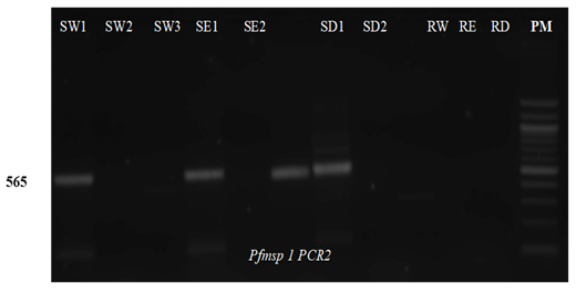 fortune-biomass-feedstock fortune-biomass-feedstock