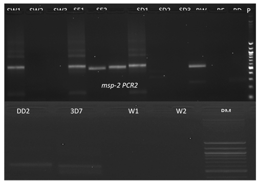 fortune-biomass-feedstock fortune-biomass-feedstock