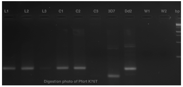 fortune-biomass-feedstock fortune-biomass-feedstock