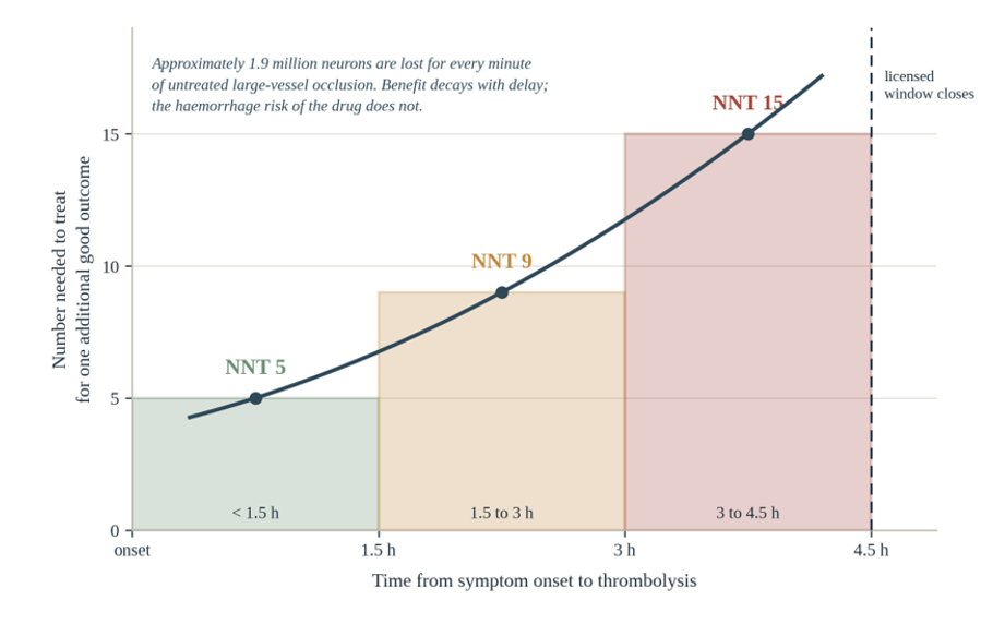 fortune-biomass-feedstock