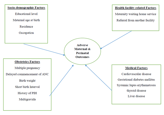 fortune-biomass-feedstock