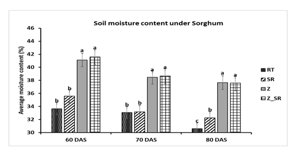 fortune-biomass-feedstock