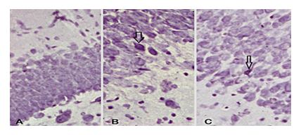 fortune-biomass-feedstock