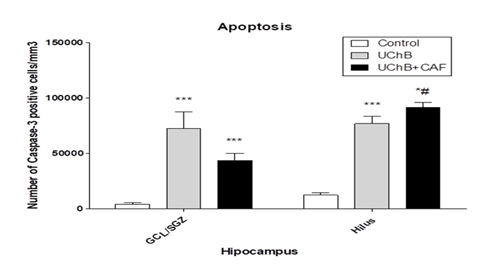 fortune-biomass-feedstock