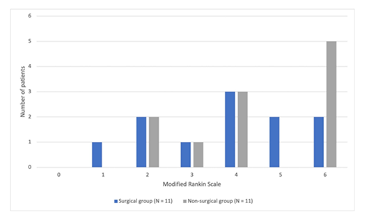 fortune-biomass-feedstock