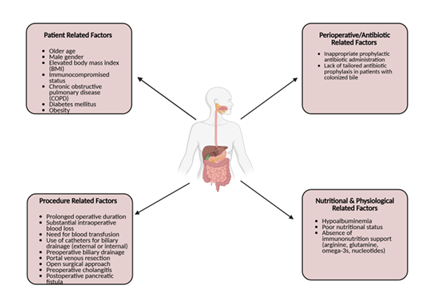 fortune-biomass-feedstock