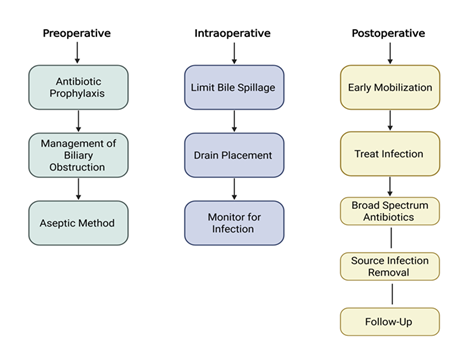 fortune-biomass-feedstock