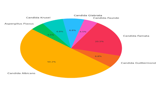 fortune-biomass-feedstock