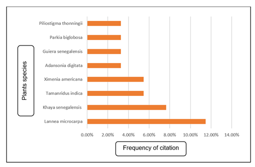 fortune-biomass-feedstock