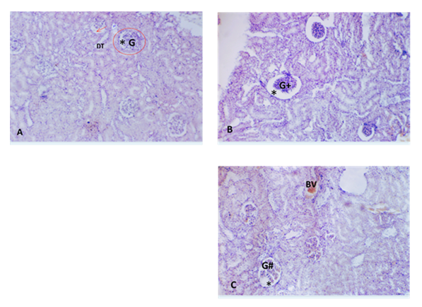 fortune-biomass-feedstock