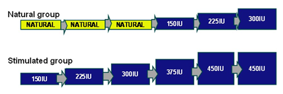 fortune-biomass-feedstock