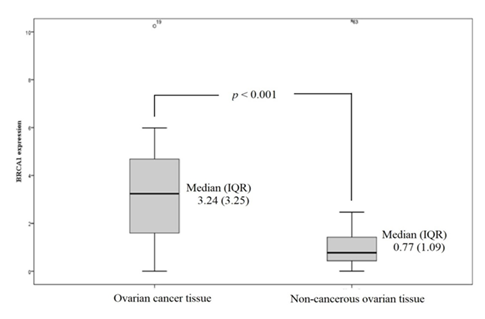 fortune-biomass-feedstock