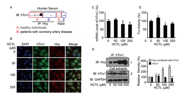 fortune-biomass-feedstock