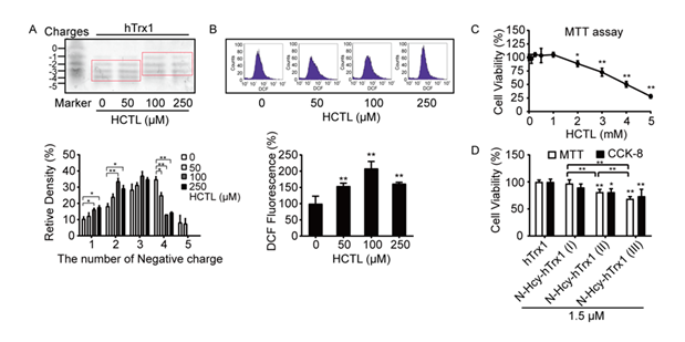 fortune-biomass-feedstock