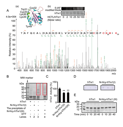 fortune-biomass-feedstock