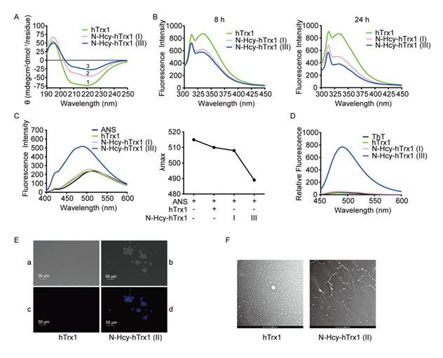 fortune-biomass-feedstock