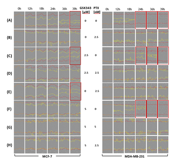 fortune-biomass-feedstock