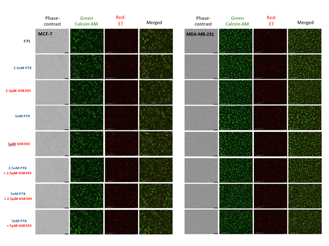 fortune-biomass-feedstock