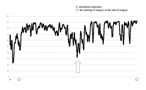 fortune-biomass-feedstock