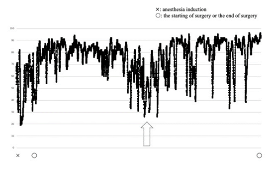 fortune-biomass-feedstock