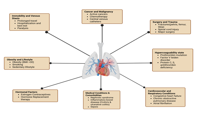 fortune-biomass-feedstock