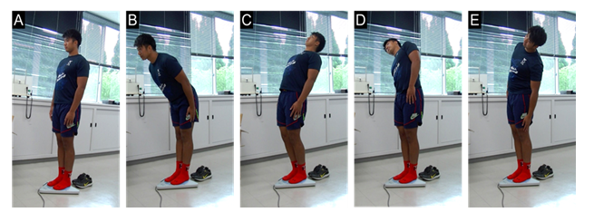 fortune-biomass-feedstock