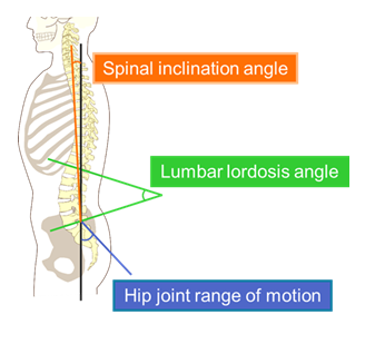 fortune-biomass-feedstock