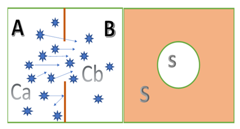 fortune-biomass-feedstock